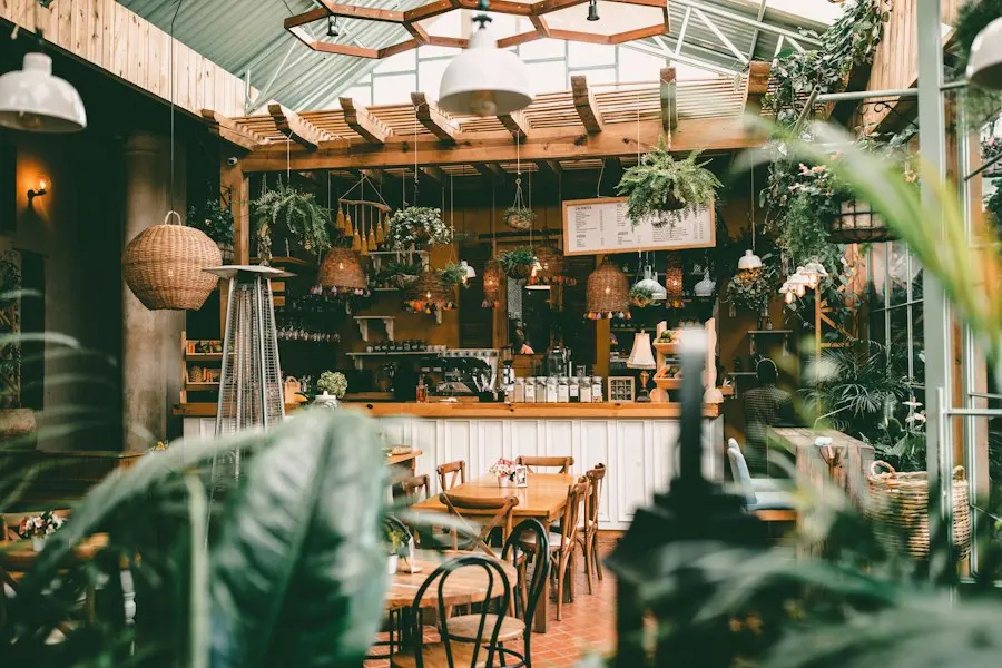 A bright corner of the café, full of plants and hanging lamps